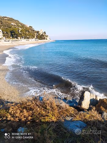 Azienda in vendita: Vendita piante, fiori, cosmetica naturale, erboristeria. Locale con vetrine. a Italia - Fiorai e Garden Center - Immagine principale