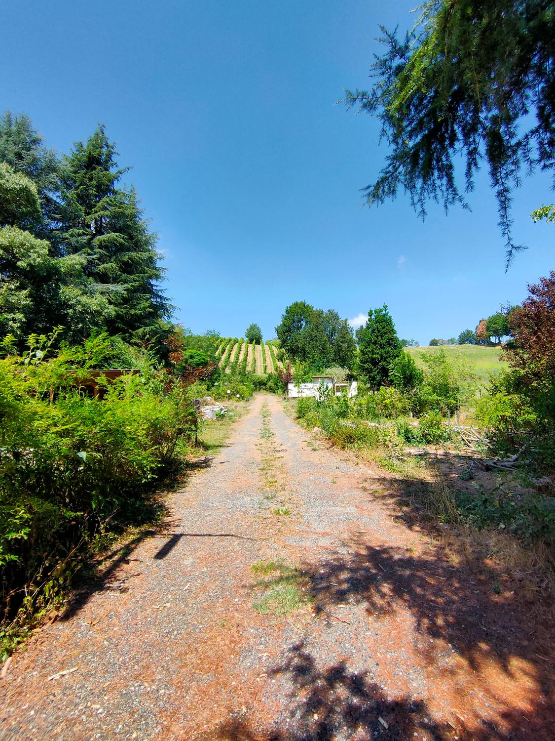 Azienda in vendita: VENDO CAMPEGGIO CON CASA LOFT CON PERMESSO DI RESIDENZA PRIMARIA a Italia - Servizi turistici - Immagine foto 4