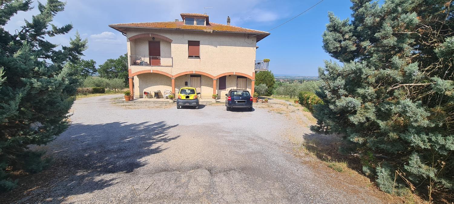 Azienda in vendita: Vendesi Azienda Viticola a Italia - Aziende vitivinicole - Immagine foto 4