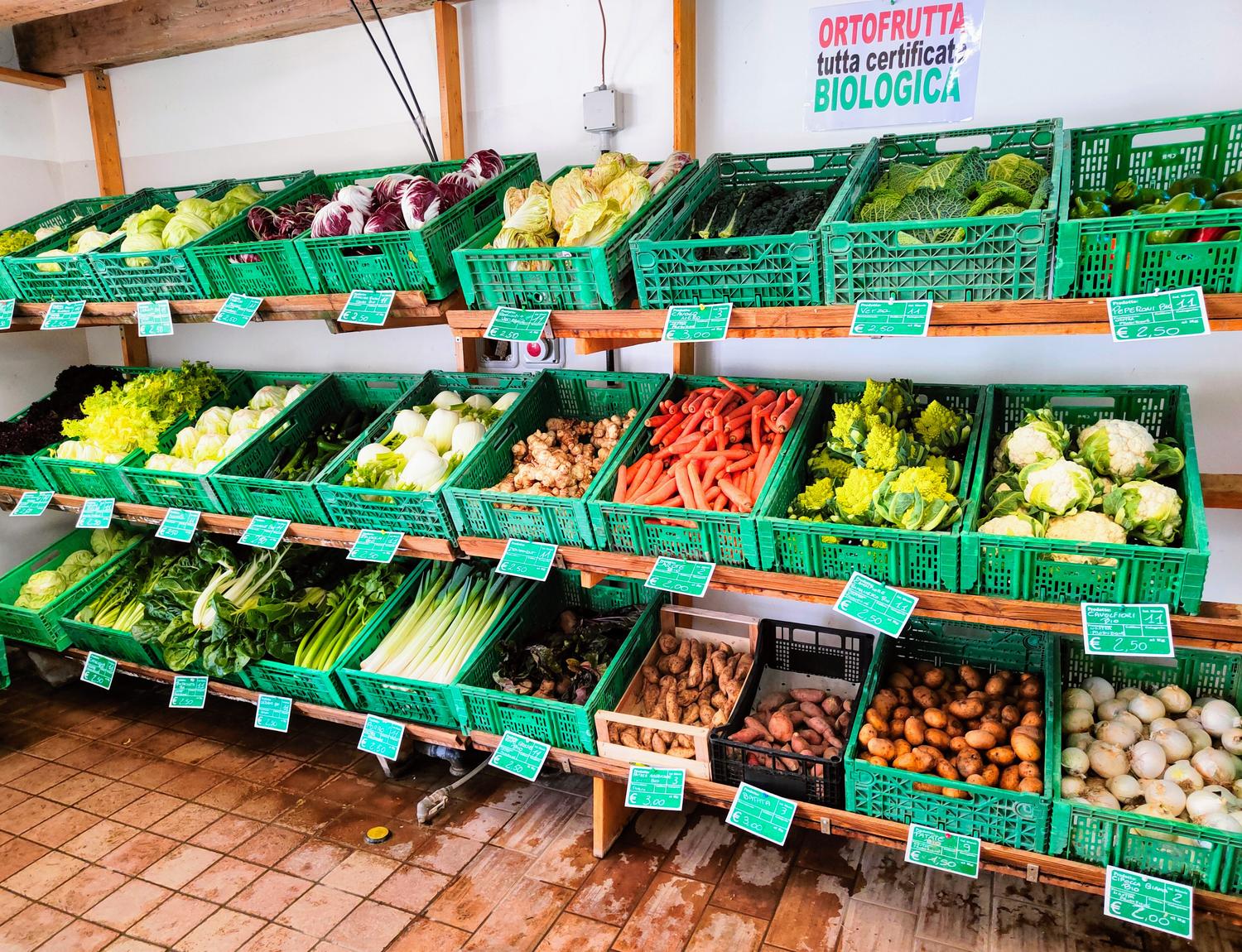 Azienda in vendita: cedesi in toto o anche in società una azienda orticola a Italia - Agriturismi - Immagine principale