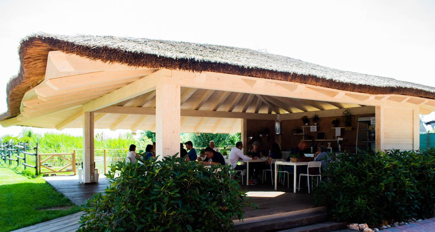 Azienda in vendita: cedesi in toto o anche in società una azienda orticola a Italia - Agriturismi - Immagine foto 3