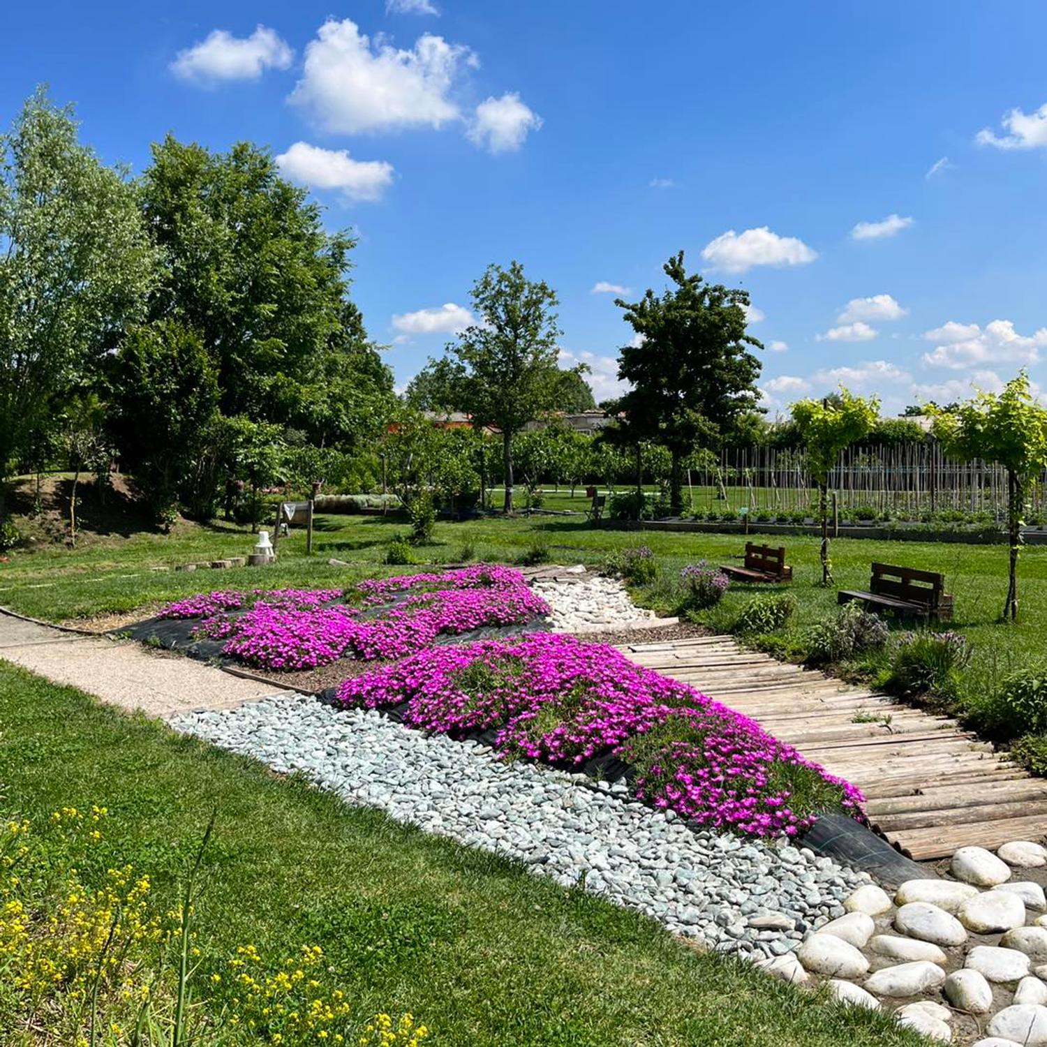 Azienda in vendita: cedesi in toto o anche in società una azienda orticola a Italia - Agriturismi - Immagine foto 4