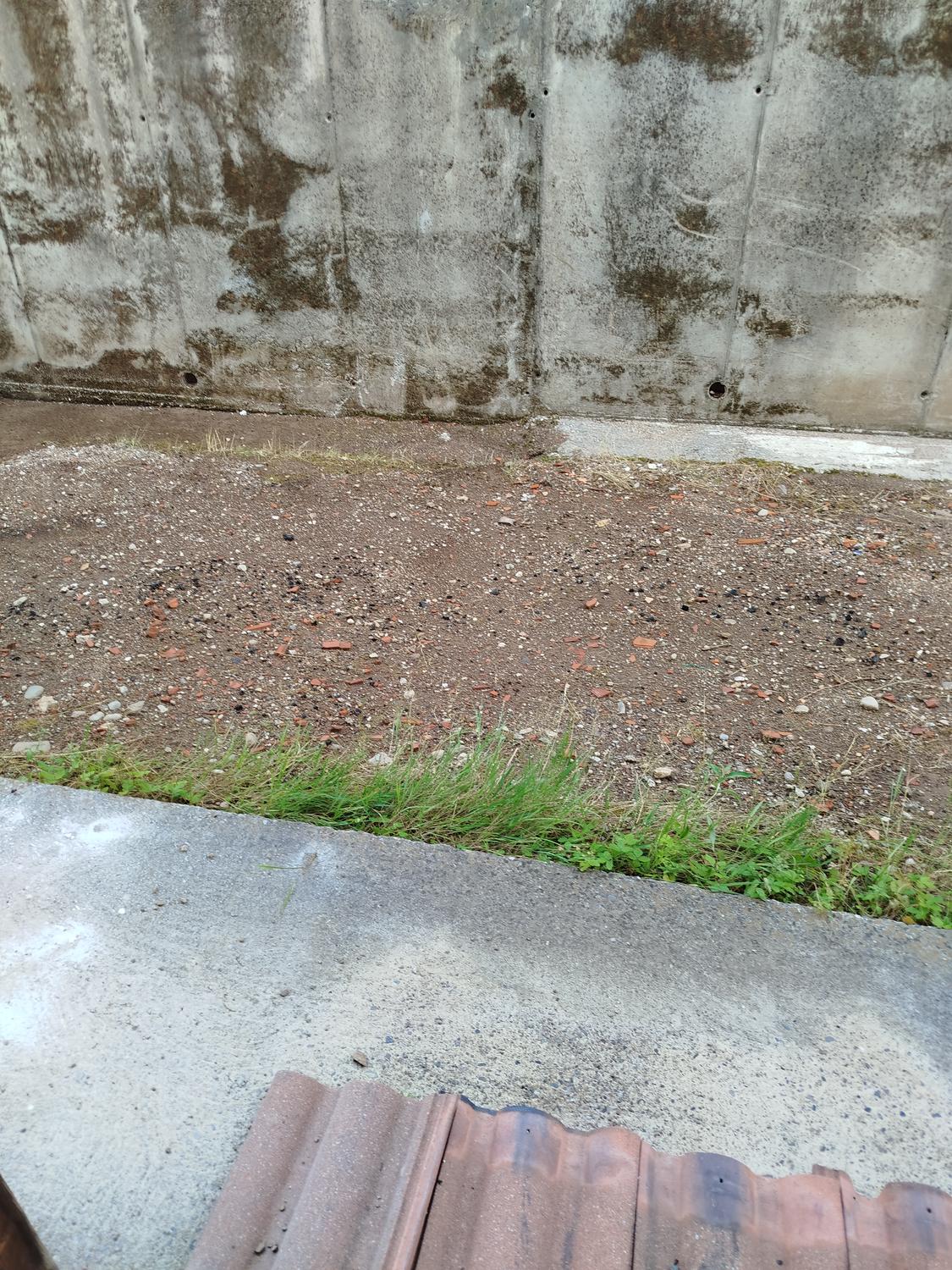Azienda in vendita: VENDESI IMMOBILI a Italia - Costruzioni e real estate - commerciali - Immagine foto 3