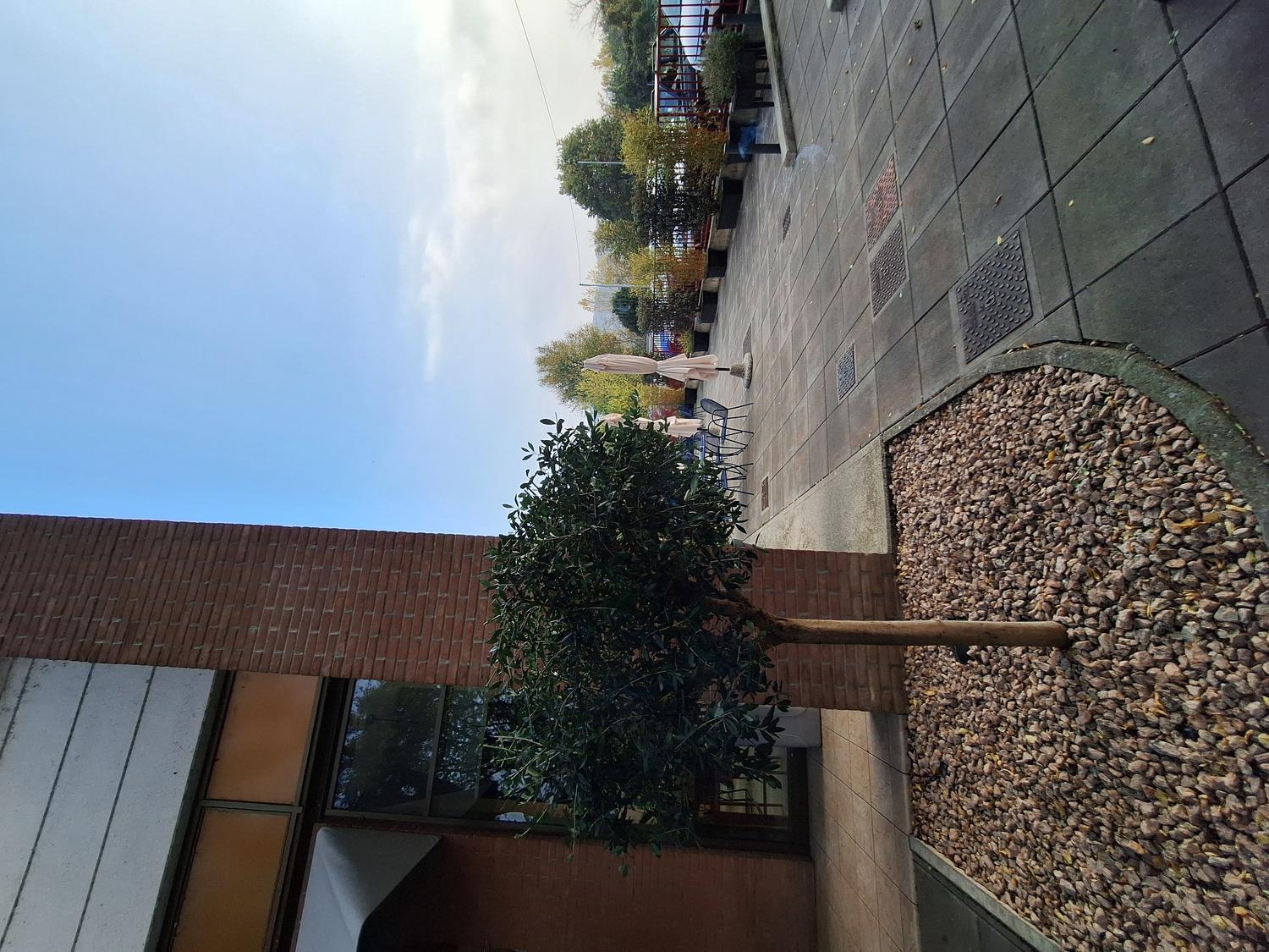 Azienda in vendita: Bellissimo bar seminuovo in vendita a Langhirano  a Italia - Bar - Immagine foto 4