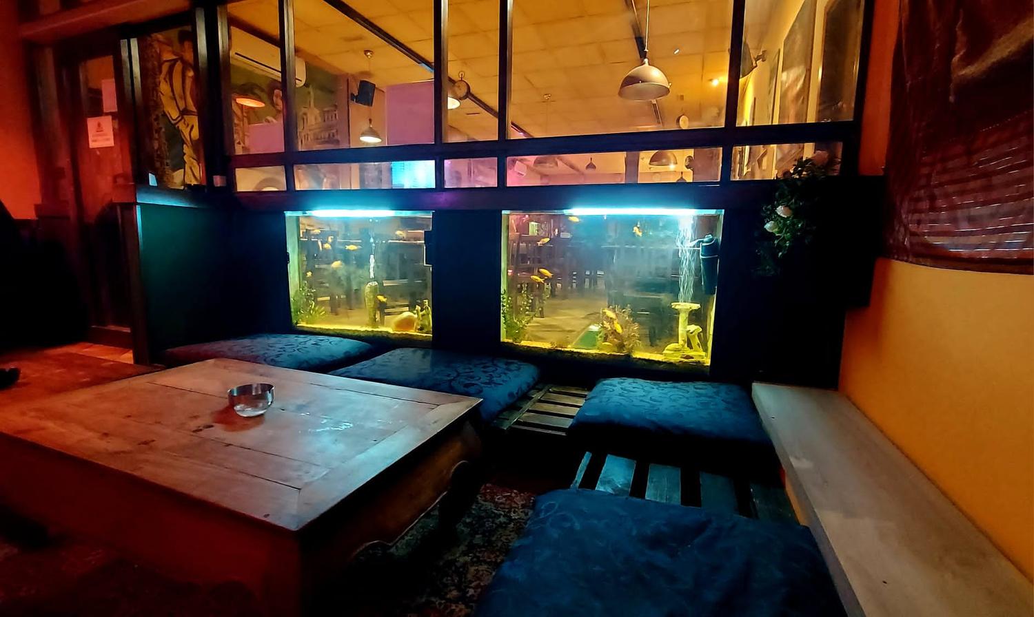 Azienda in vendita: Attività commerciale - Pub a Italia - Bar - Immagine foto 2