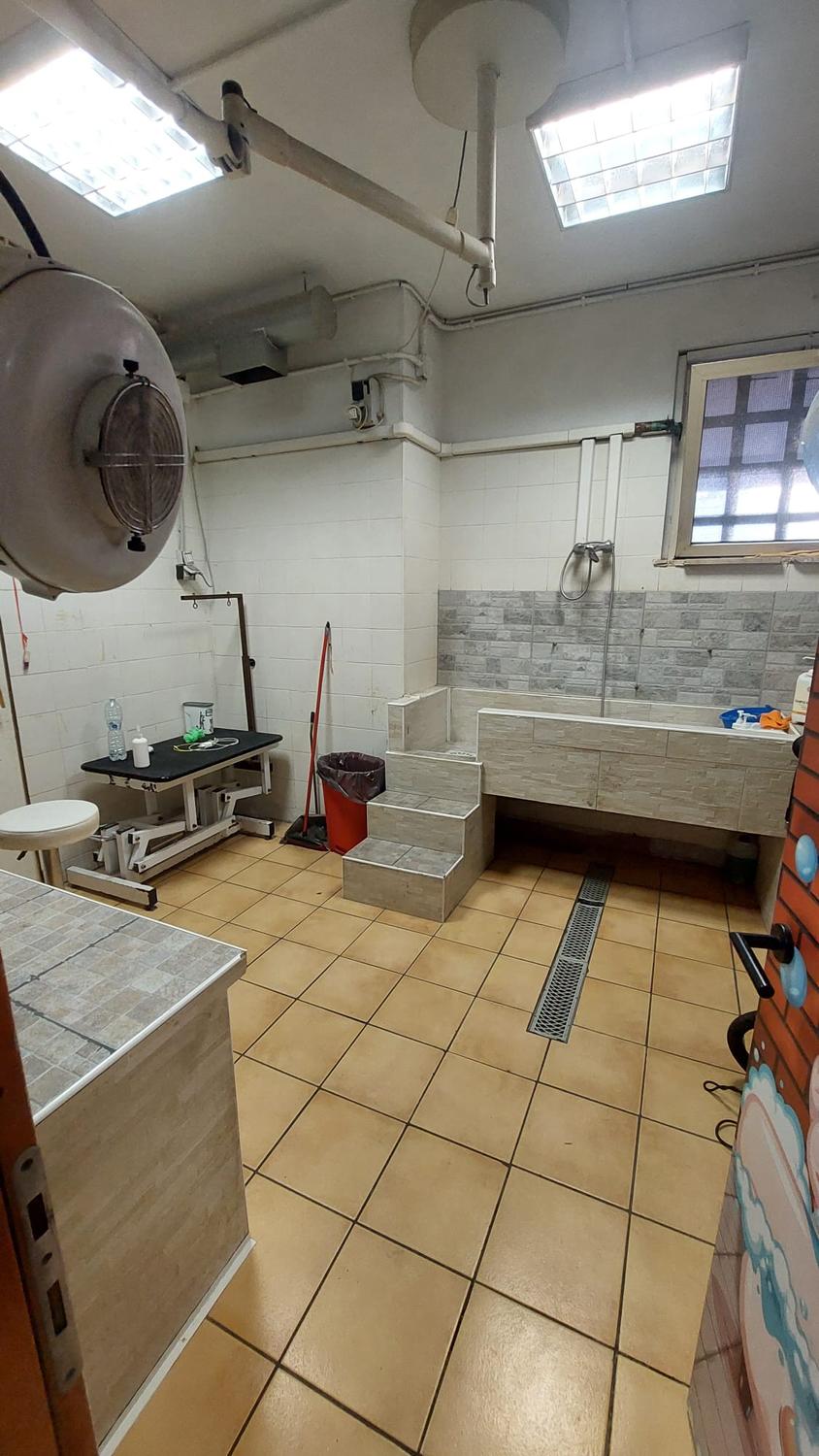 Azienda in vendita: Attività vendita di articoli per animali con toeletta annessa a Italia - Prodotti e servizi per animali - Immagine foto 3