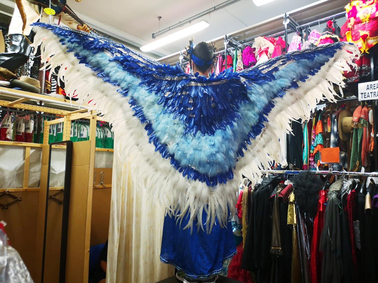 Azienda in vendita: Negozio di costumi teatrali e di carnevale e abiti da sposi  a Italia - Negozi - abbigliamento - Immagine foto 4