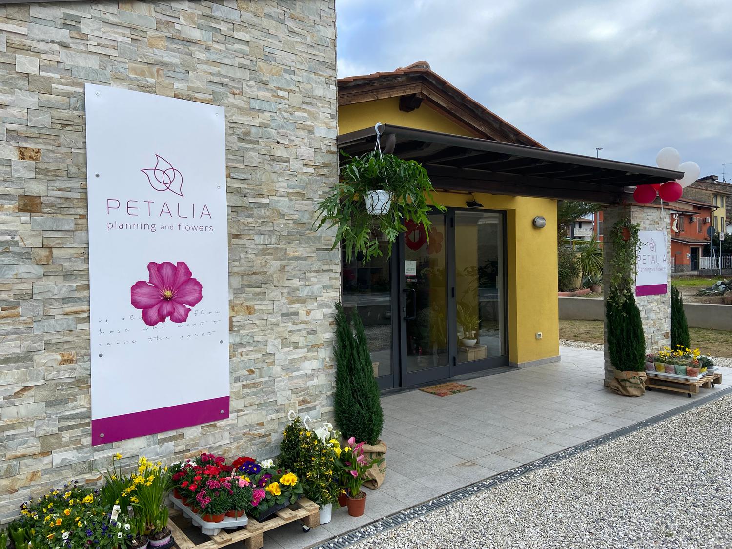 Azienda in vendita: Negozio di fiori e piante al dettaglio  a Italia - Fiorai e Garden Center - Immagine principale