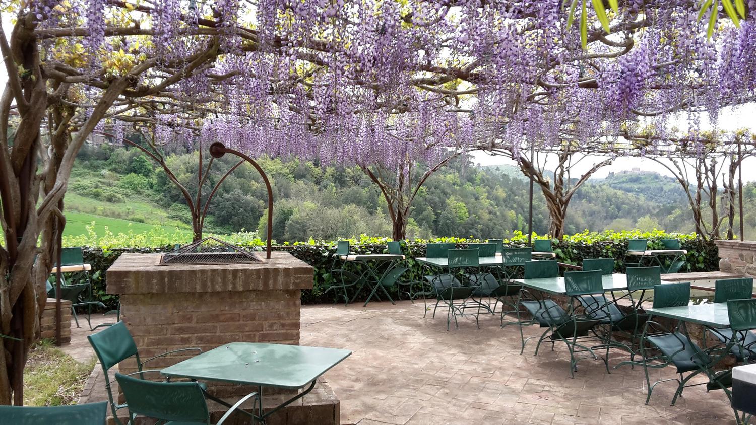 Azienda in vendita: Affittasi ramo di azienda - ristorazione a Italia - Ristoranti - Immagine foto 4