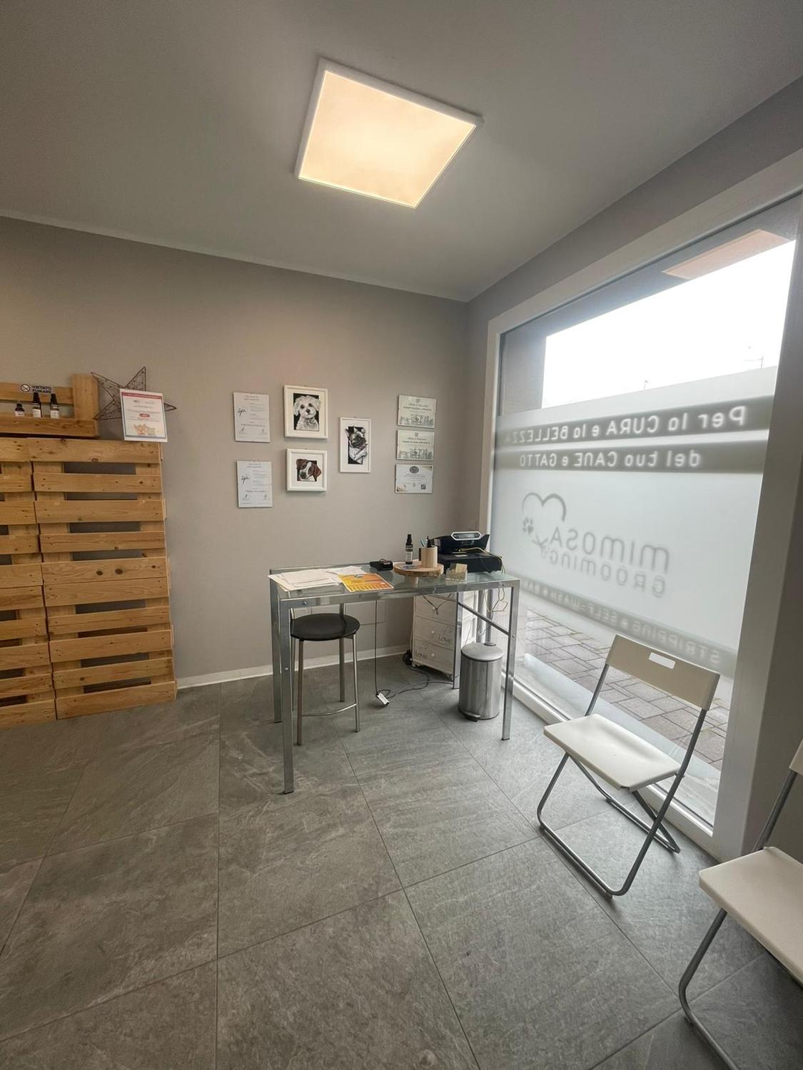 Azienda in vendita: Toelettatura per animali a Italia - Prodotti e servizi per animali - Immagine foto 2