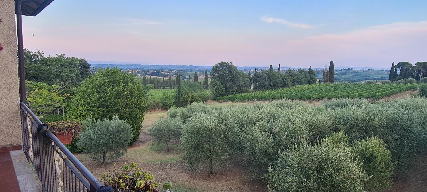 Azienda in vendita: Azienda Agricola Vitivinicola a Italia - Aziende vitivinicole - Immagine foto 2