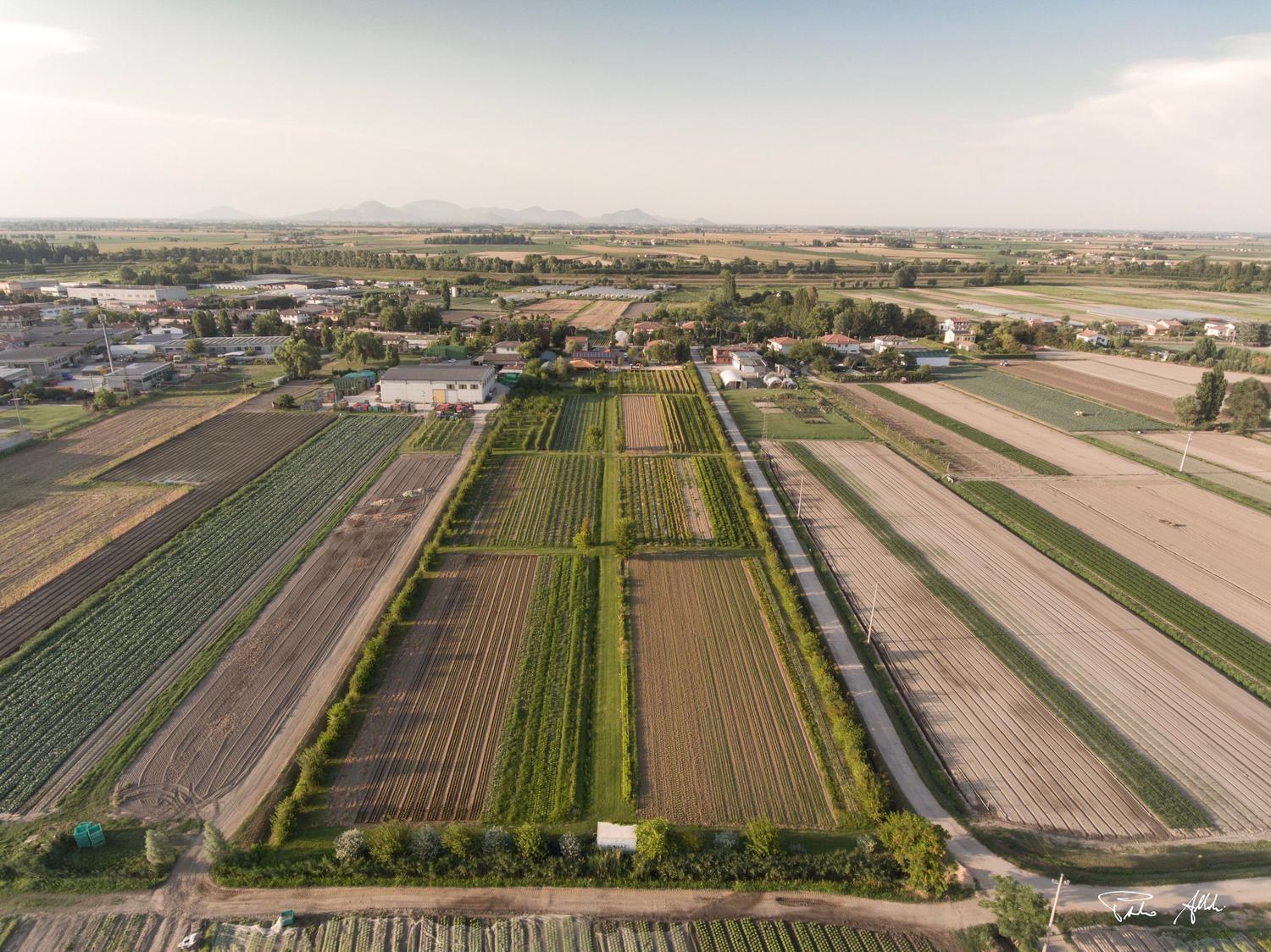 Azienda in vendita: AZIENDA ORTICOLA BIOLOGICA CON AGRITURISMO VEGANO a Italia - Agriturismi - Immagine foto 3