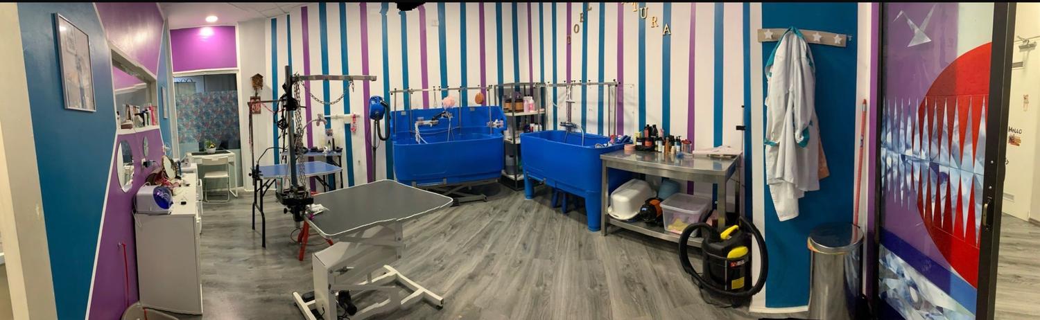 Azienda in vendita: Attività di Toelettatura con delizioso PET shop ben avviato Rivol a Italia - Prodotti e servizi per animali - Immagine principale