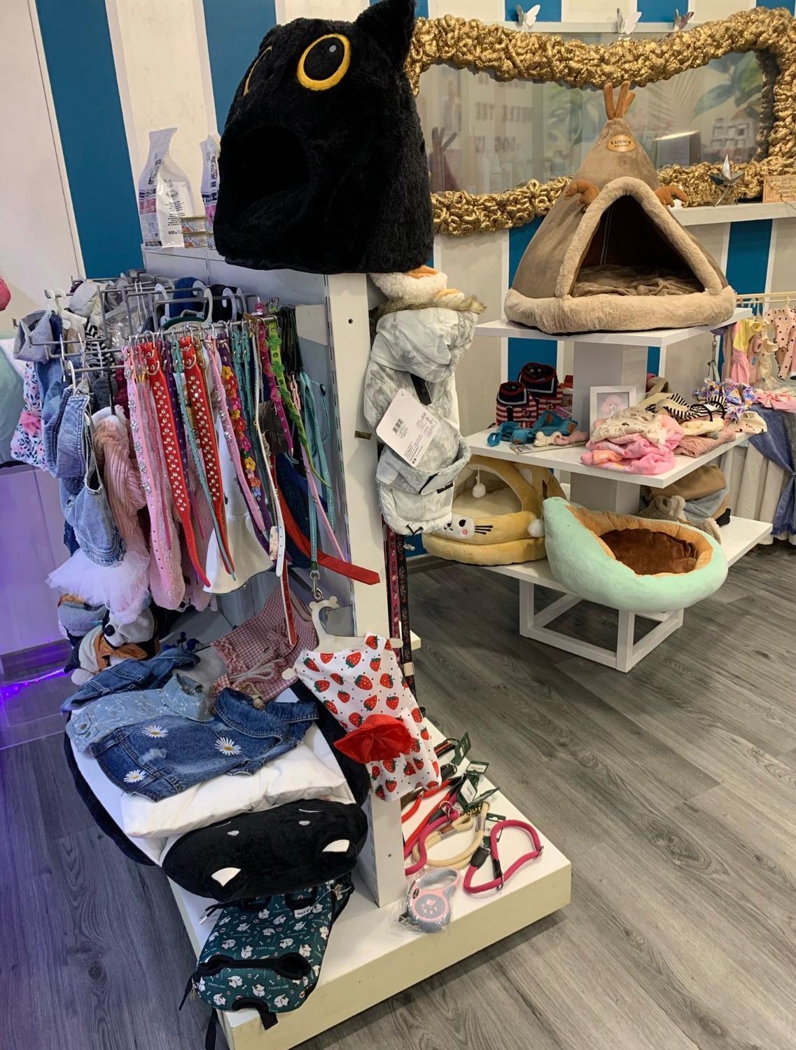 Azienda in vendita: Attività di Toelettatura con delizioso PET shop ben avviato Rivol a Italia - Prodotti e servizi per animali - Immagine foto 2