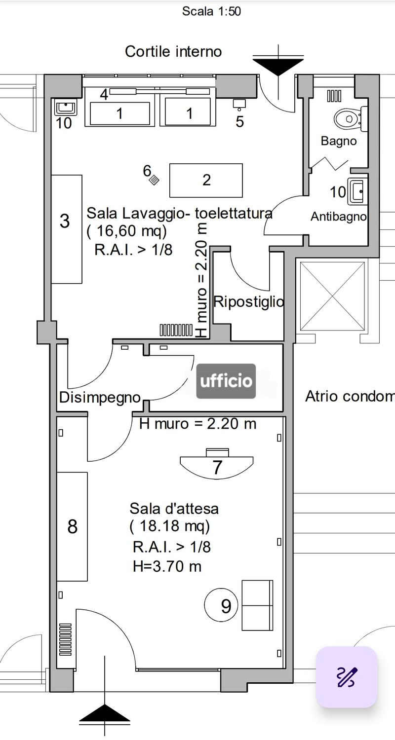 Azienda in vendita: Toelettatura per animali da compagnia a Italia - Prodotti e servizi per animali - Immagine principale
