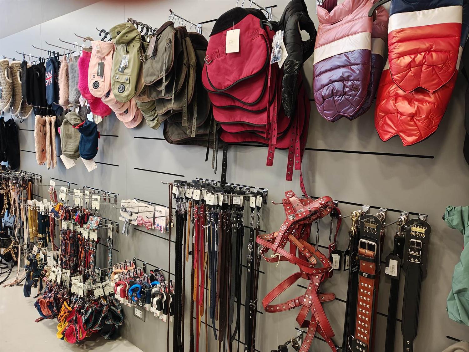 Azienda in vendita: Pet's Boutique Alimentazione e Accessori per Cani & Gatti a Italia - Prodotti e servizi per animali - Immagine foto 3