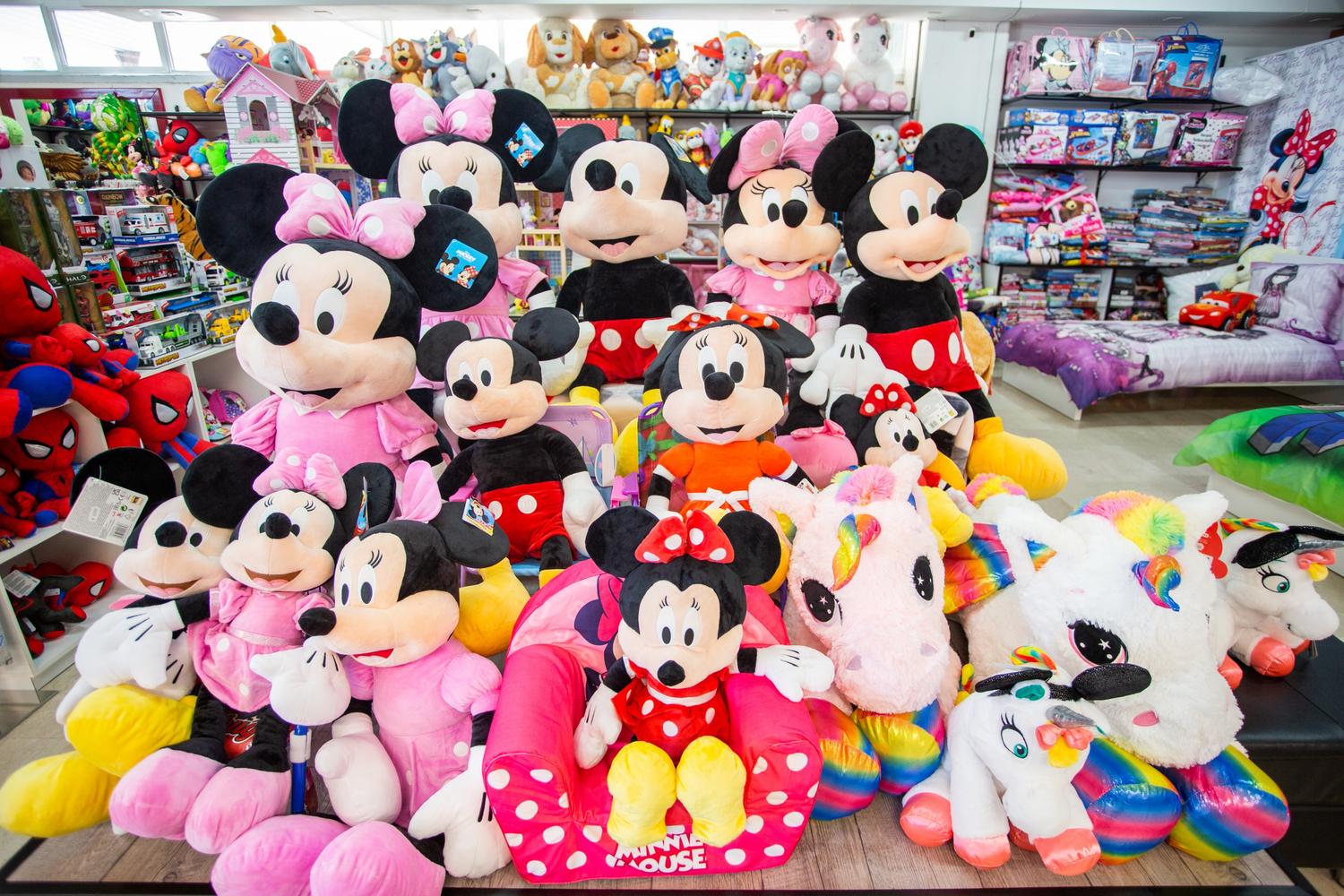 Azienda in vendita: Vendesi attività con sito web e social attivi – pronta per lavora a Italia - Giochi e Svago - Immagine foto 4