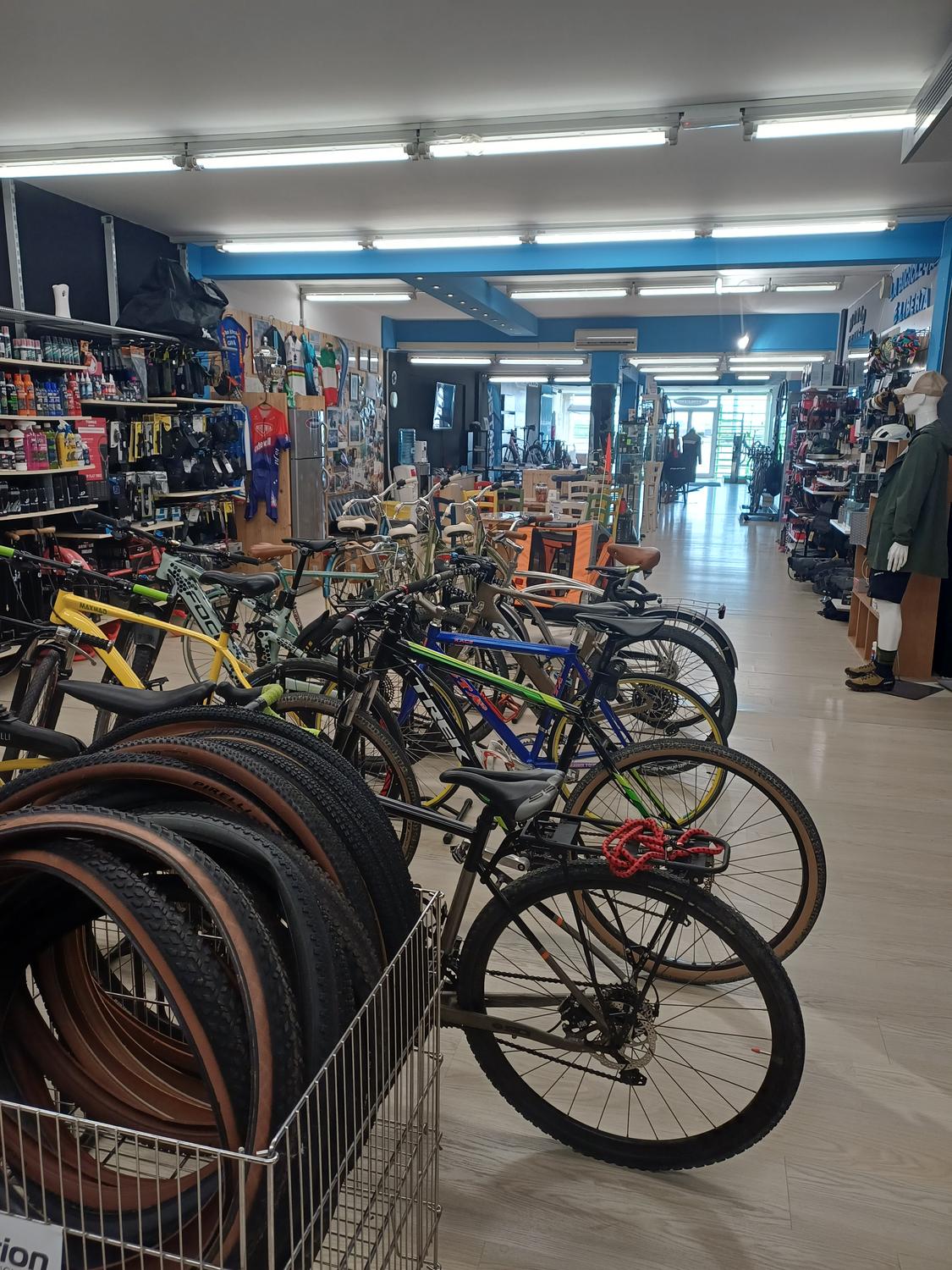 Azienda in vendita: Afftto negozio biciclette sportive, completo di arredo e officina a Italia - Cicli e Biciclette - Immagine principale