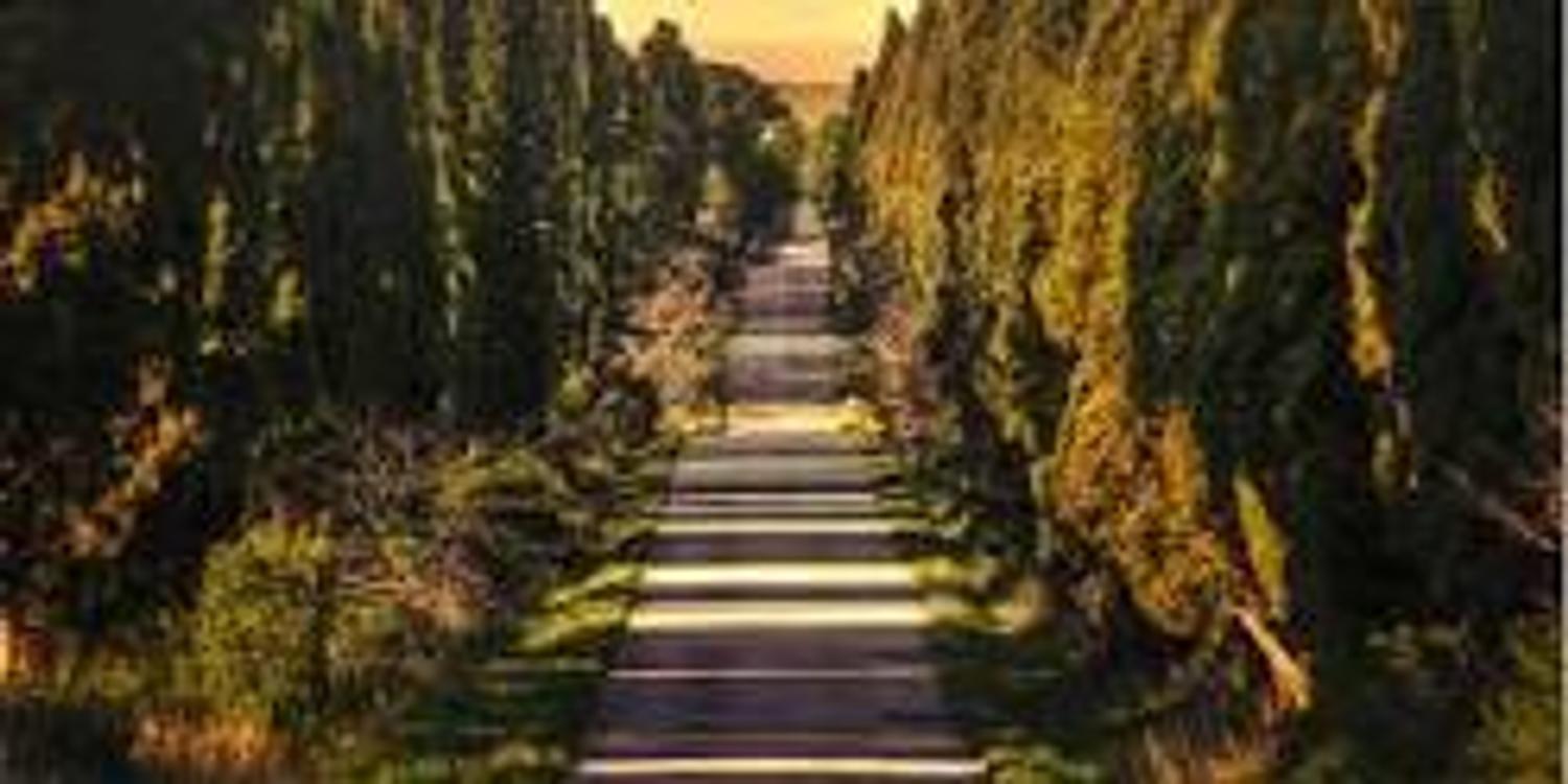 Azienda in vendita: Azienda Noleggio Con Conducente a Italia - Attività artigianali e professionali - Immagine principale