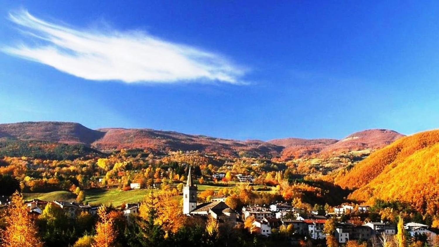 Azienda in vendita: Pacchetto vita per chi vuole trasferirsi in montagna. a Italia - E-commerce - Immagine foto 2