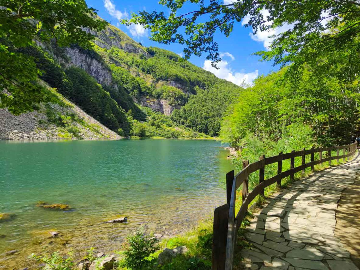 Azienda in vendita: Pacchetto vita per chi vuole trasferirsi in montagna. a Italia - E-commerce - Immagine foto 3