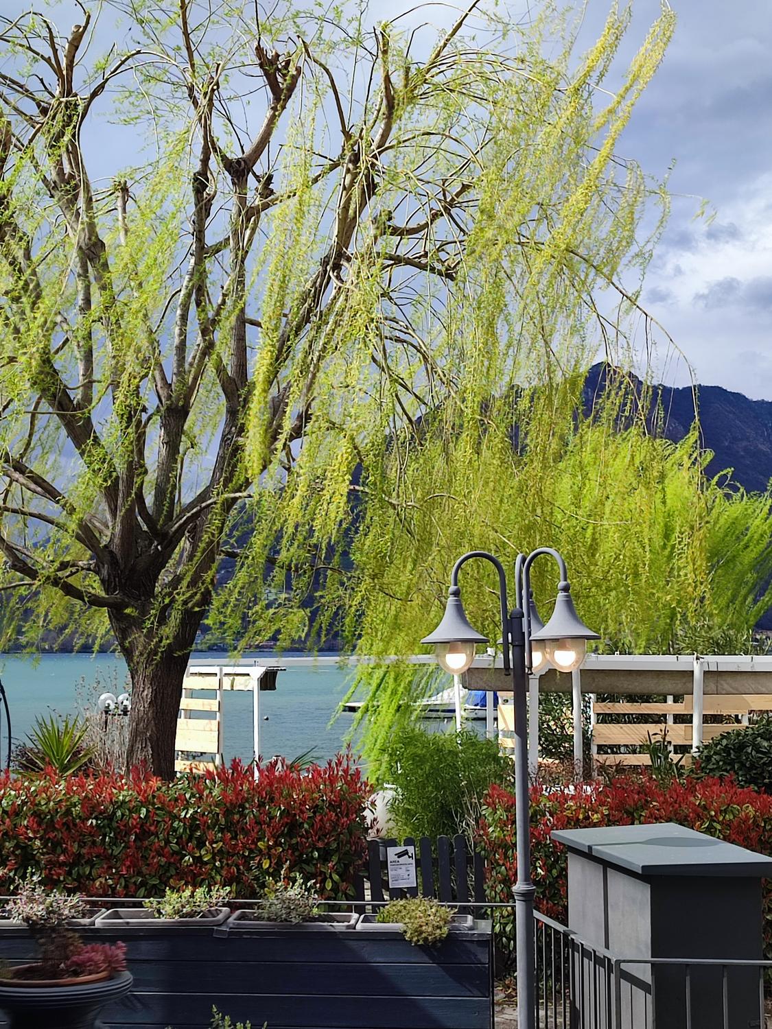 Azienda in vendita: Attività di Ristorazione e Chiringuito a Italia - Ristoranti - Immagine principale