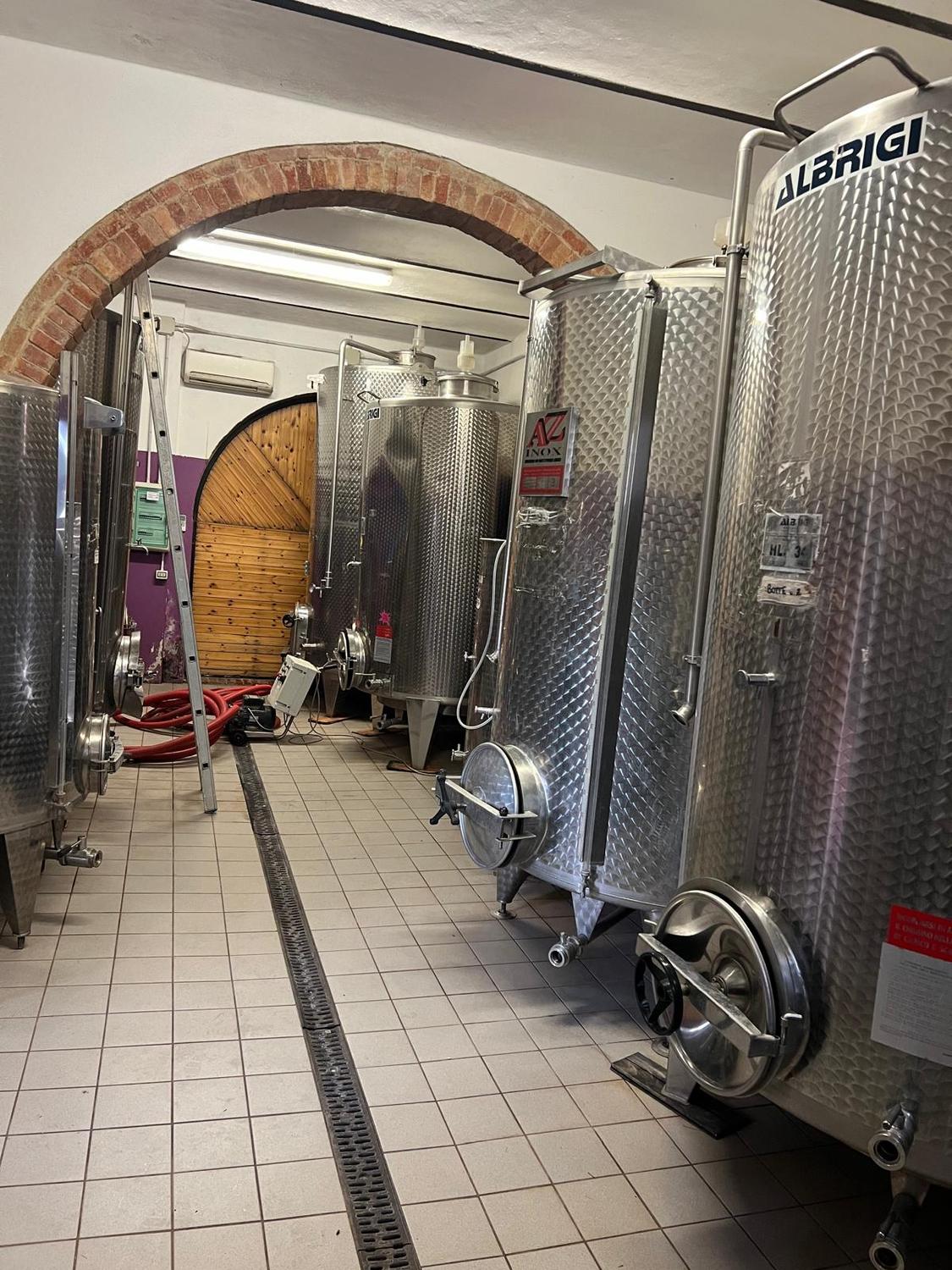 Azienda in vendita: Azienda Vitivinicola a Montepulciano, in Toscana a Italia - Aziende vitivinicole - Immagine foto 2