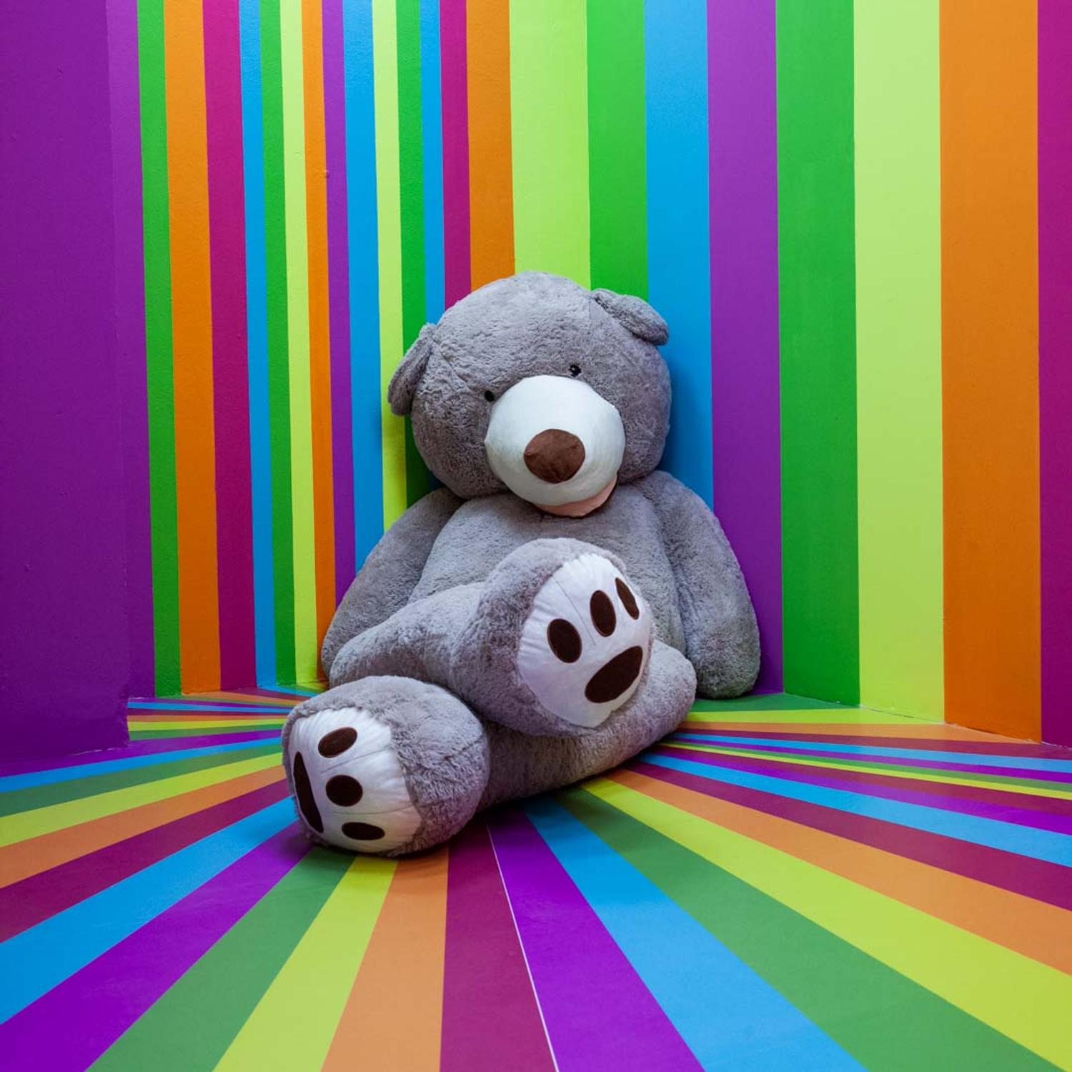 Azienda in vendita: Spazio fotografico per eventi e feste a Italia - Giochi e Svago - Immagine principale