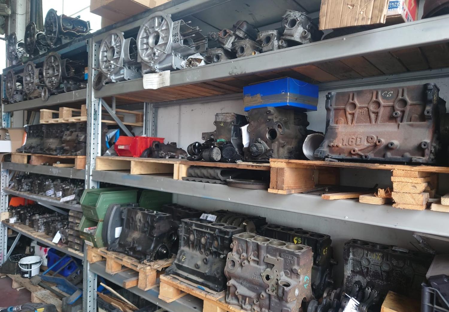 Azienda in vendita: Cedesi Autofficina specializzata in restauro Volksvagen d'epoca a Italia - Automotive - Immagine foto 2