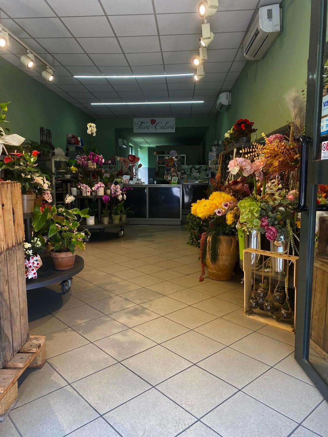 Azienda in vendita: Fioraio avviato a Collegno, ottima posizione e clientela 🌿 a Italia - Fiorai e Garden Center - Immagine principale
