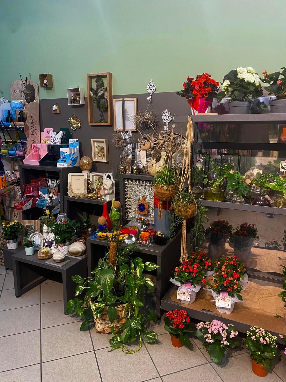 Azienda in vendita: Fioraio avviato a Collegno, ottima posizione e clientela 🌿 a Italia - Fiorai e Garden Center - Immagine foto 3