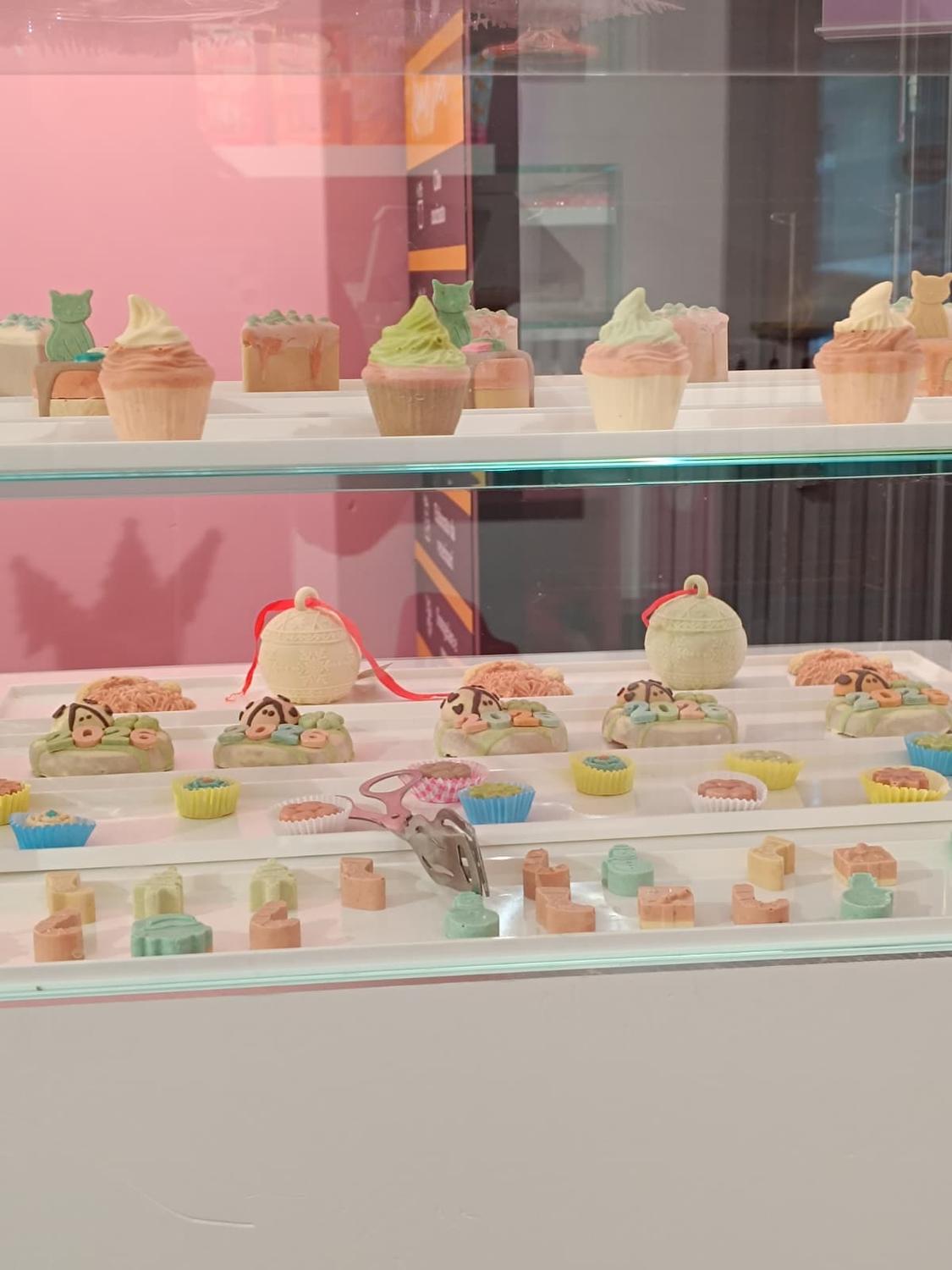 Azienda in vendita: Cedesi avviata attività di Pet Bakery e Boutique – Provincia di T a Italia - Prodotti e servizi per animali - Immagine foto 3