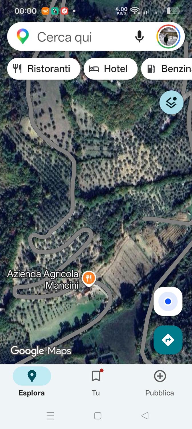 Azienda in vendita: Azienda co 13Ha di terreno con 1200 piante di ulivo 4 abitazione a Italia - Agriturismi - Immagine principale