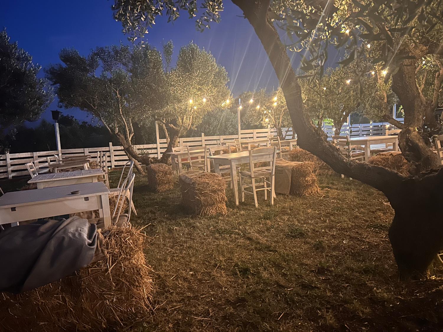 Azienda in vendita: Attività di 800mq
Bar, ristorante , braceria e pizzeria 
 a Italia - Ristoranti - Immagine principale