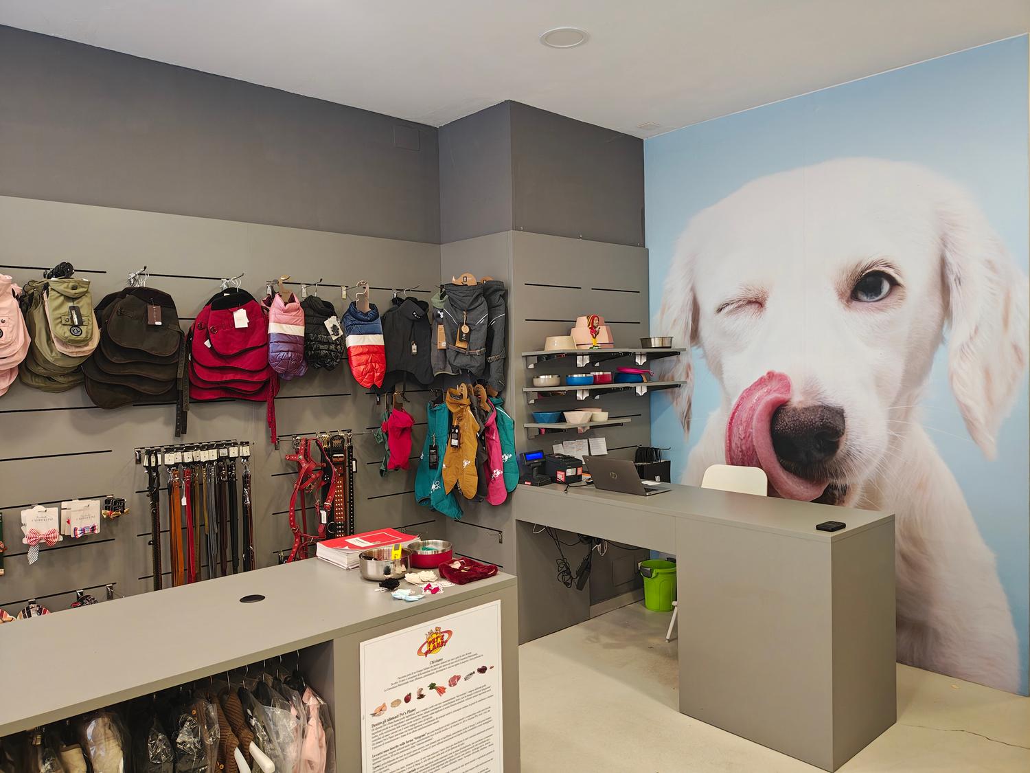 Azienda in vendita: Pet's Shop Alimentazione e Accessori di fascia medio alta a Italia - Prodotti e servizi per animali - Immagine principale