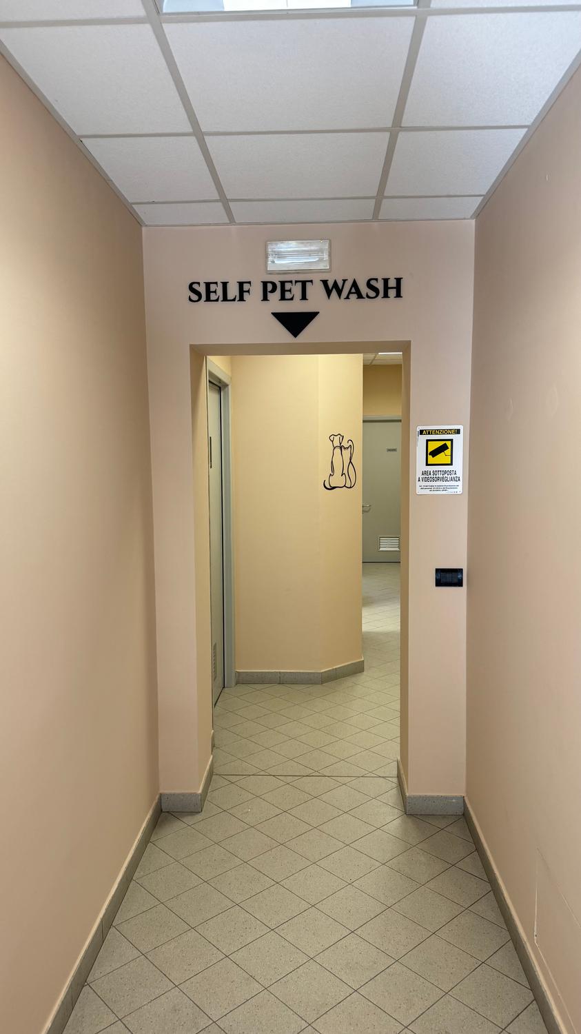 Azienda in vendita: Toelettatura Animali e 2 postazioni Self Service a Italia - Prodotti e servizi per animali - Immagine foto 4