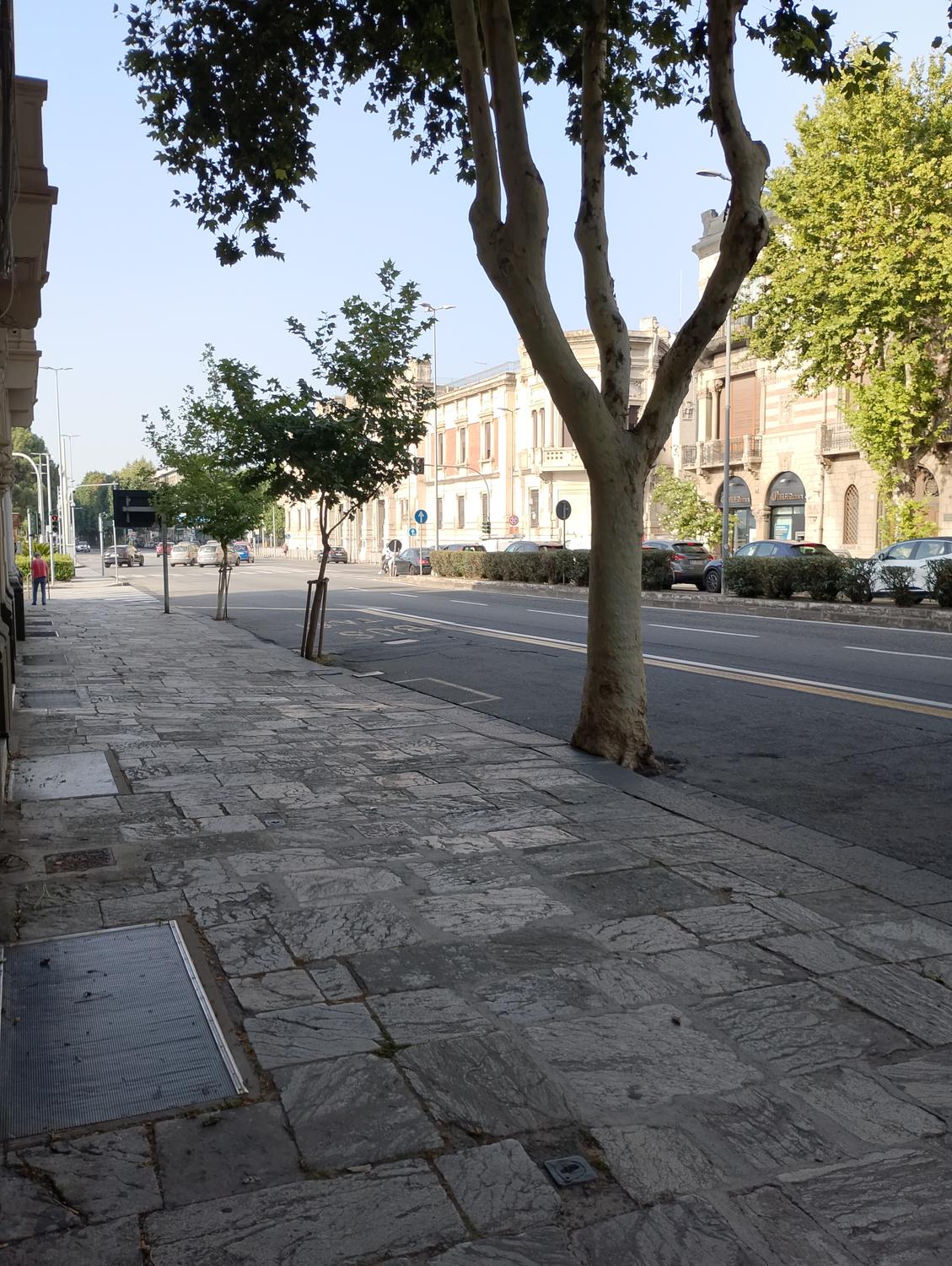 Azienda in vendita: Attività di panificio a Italia - Panetterie - Immagine principale