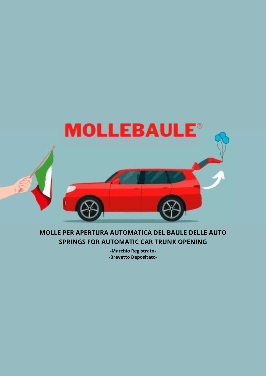 Azienda in vendita: MOLLEBAULE® APERTURA AUTOMATICA BAULE AUTOVETTURE a Italia - E-commerce - Immagine principale