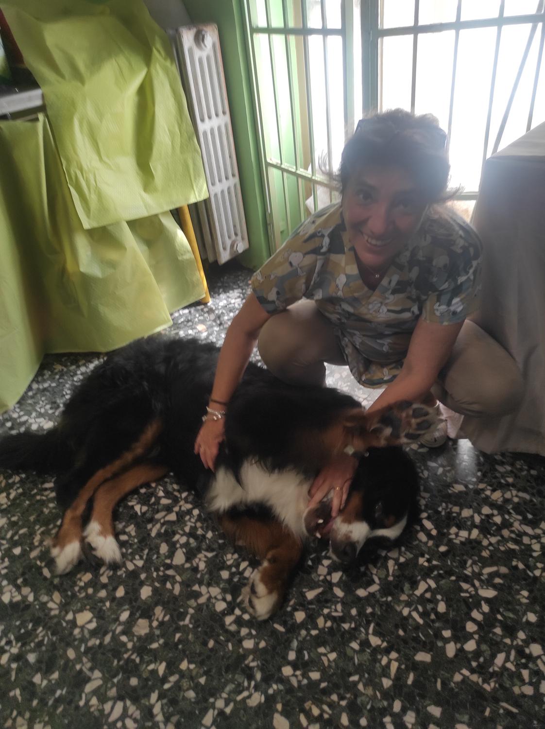 Azienda in vendita: Toelettatura storica per cani e gatti cedesi con annesso negozio  a Italia - Prodotti e servizi per animali - Immagine foto 2
