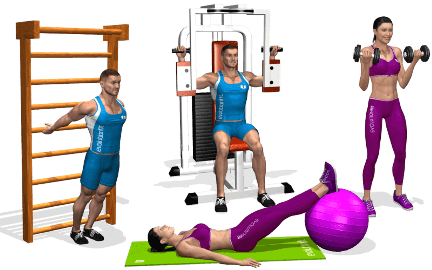 Business for sale: Sale of an established gym business in Italy - Sports and athletics centers - photo 2