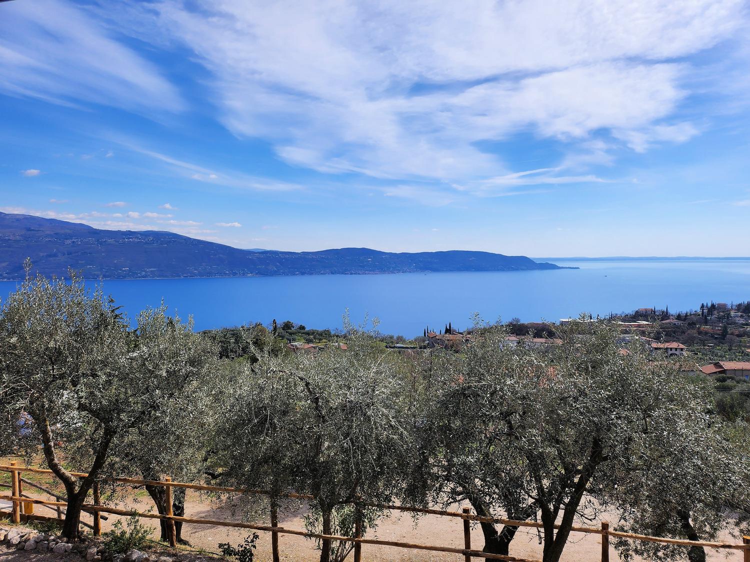 Azienda in vendita: Agriturismo sul Lago di Garda a Italia - Agriturismi - Immagine foto 4