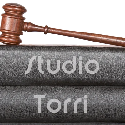 STUDIO TORRI